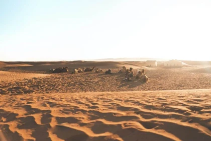 Sahara - 6 jours / Déserts Illimités : Vivez l'Excitation du Quad/Buggy au Maroc - Tourisme Agadir Souss-Massa