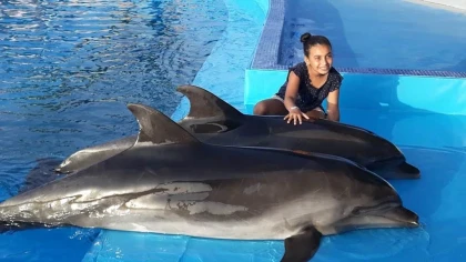 Spectacle de dauphins - Tourisme Agadir Souss-Massa