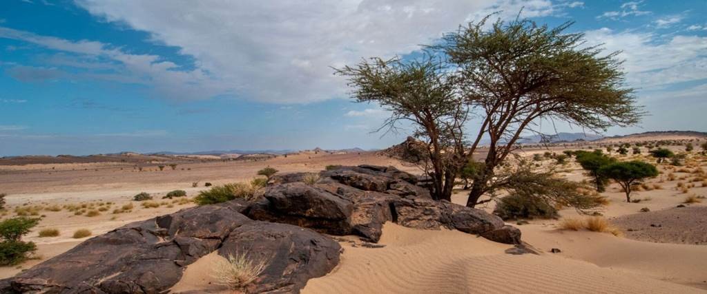 AMERDOUL camping hotel - Tourisme Agadir Souss-Massa