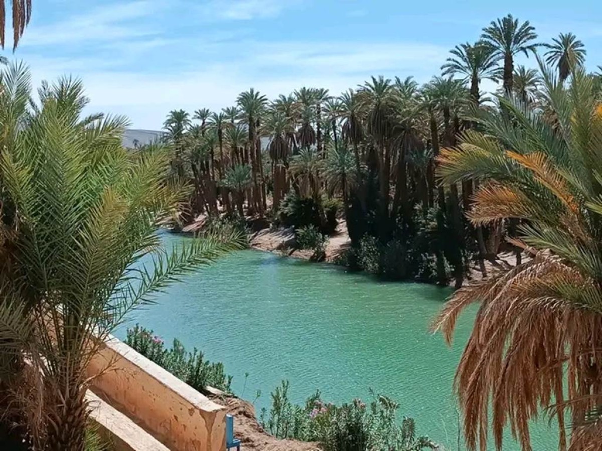 Auberge Amande - Tourisme Agadir Souss-Massa