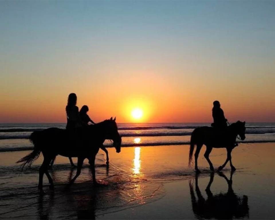 Balade à cheval à Taghazout - 1h - Tourisme Agadir Souss-Massa