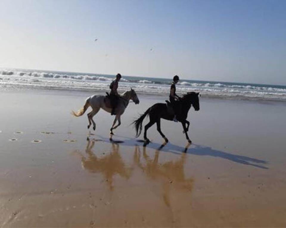 Balade à cheval à Taghazout - 1h - Tourisme Agadir Souss-Massa