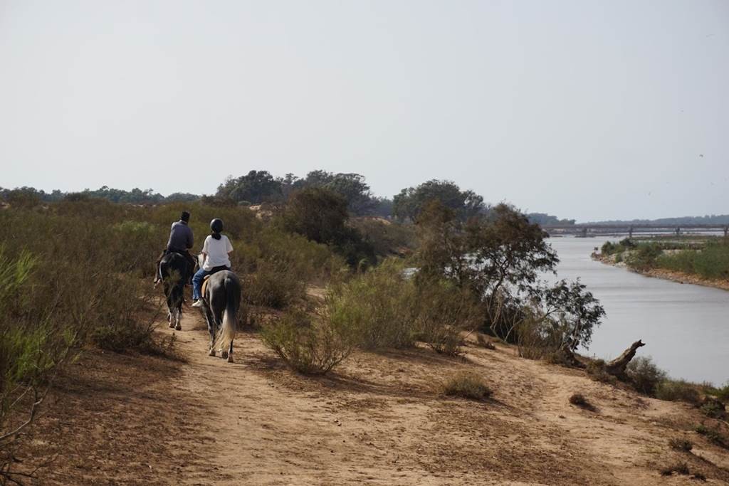 Balade à cheval - demi journée - Tourisme Agadir Souss-Massa
