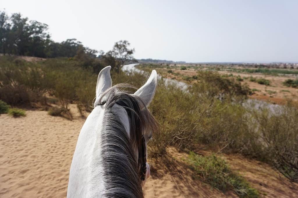 Balade à cheval ou à poney - 1h - Tourisme Agadir Souss-Massa