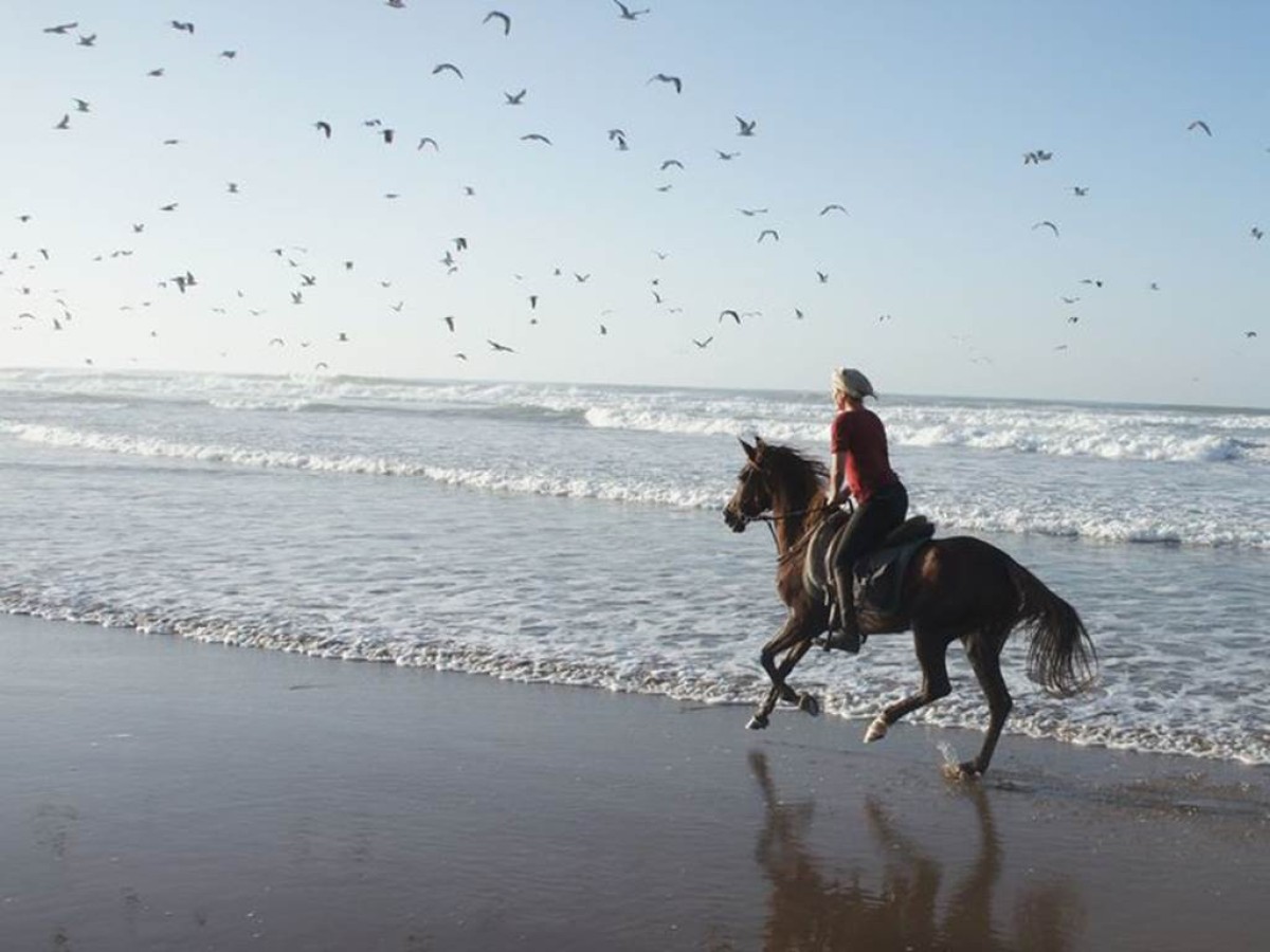 Balade à cheval - Tourisme Agadir Souss-Massa