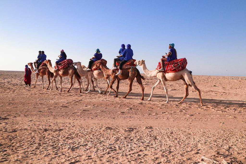 Balade à dos de Chameau - Tourisme Agadir Souss-Massa