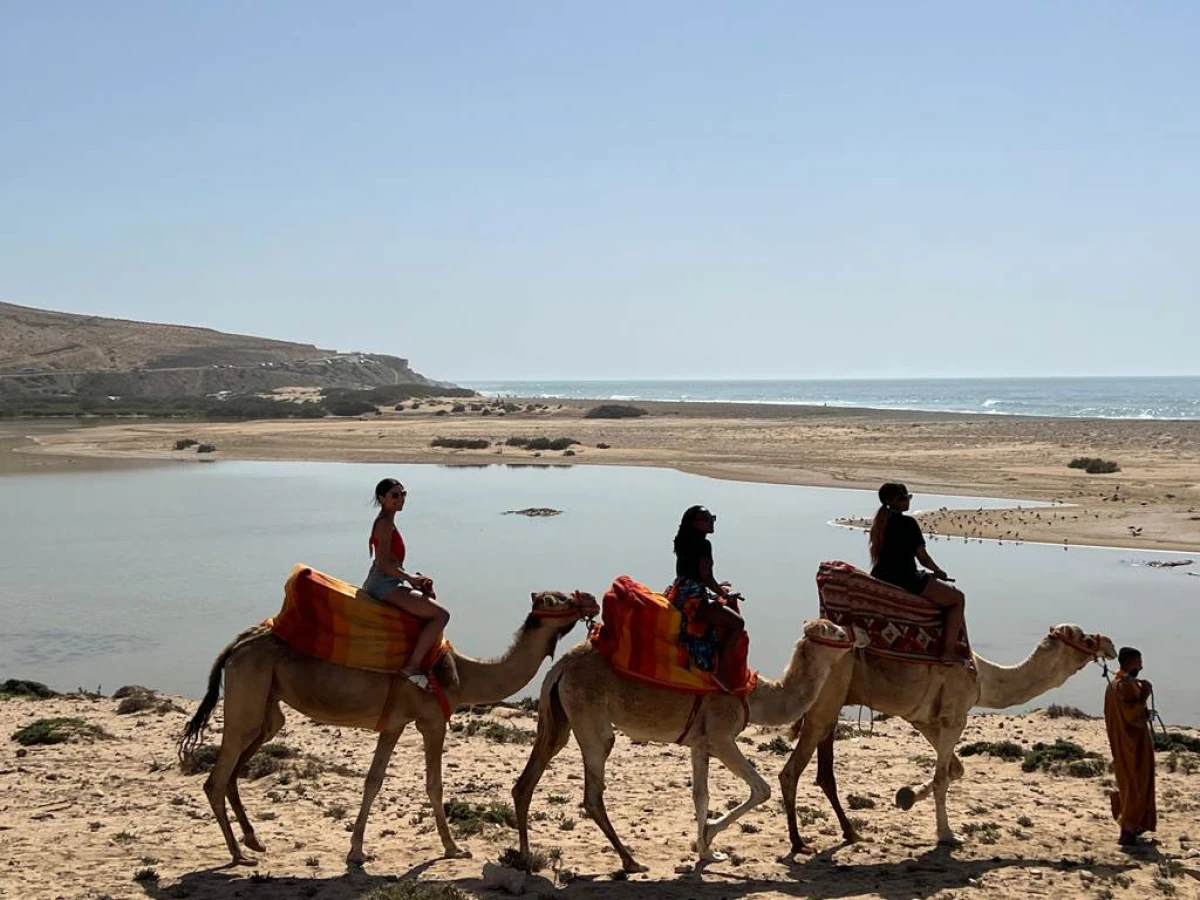 BALADE DROMADAIRE AVEC BARBECUE - Tourisme Agadir Souss-Massa