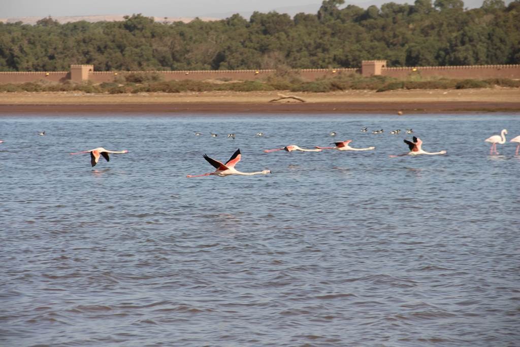 Balade La Playa - Tourisme Agadir Souss-Massa