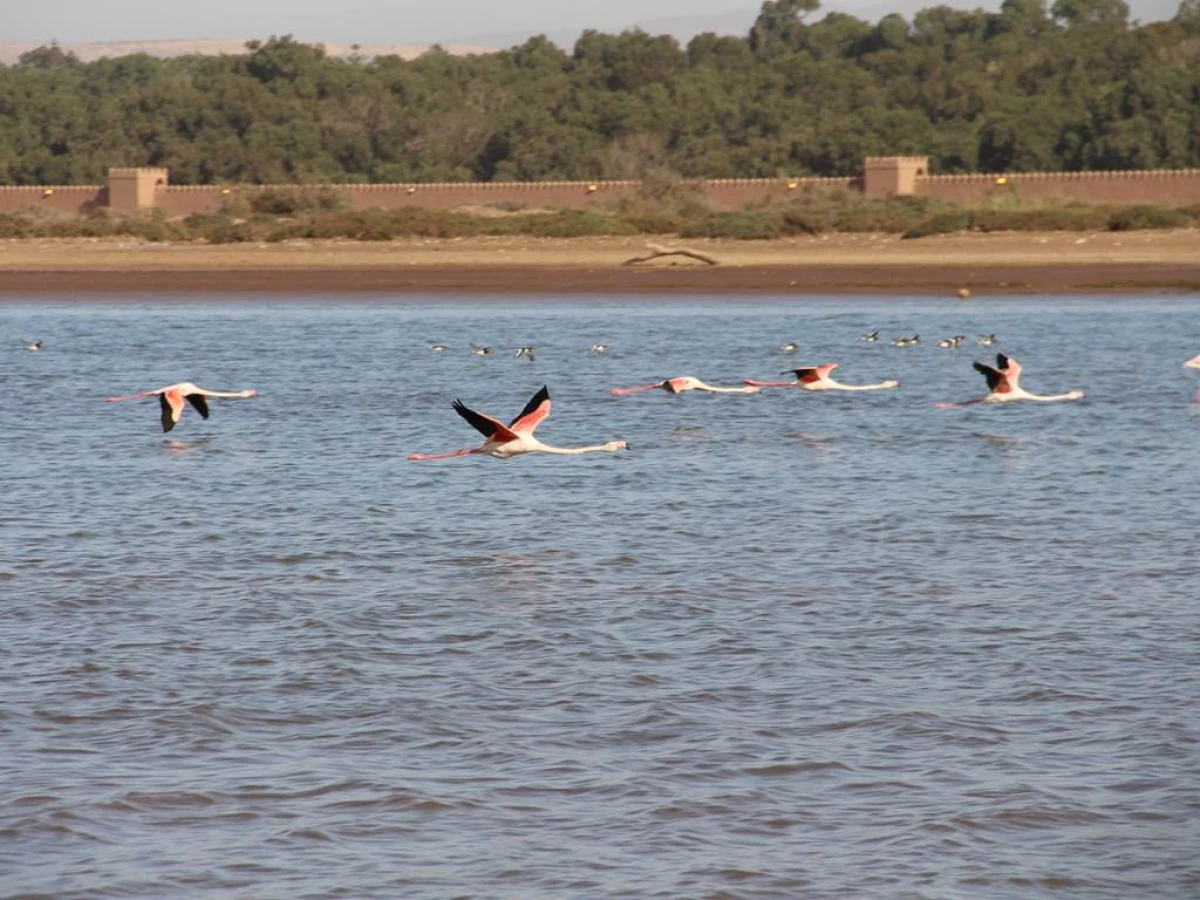 Balade La Playa - Tourisme Agadir Souss-Massa