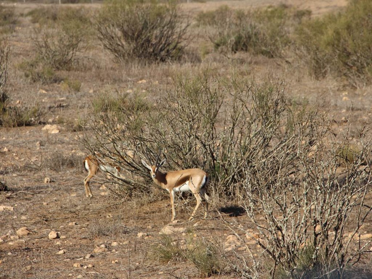 Balade La Souss Massa - Tourisme Agadir Souss-Massa