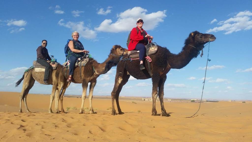 Ballade en Dromadaire à Agadir - Tourisme Agadir Souss-Massa