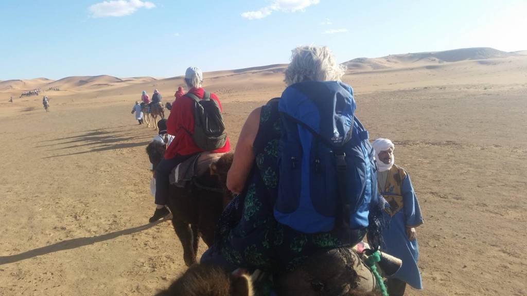 Ballade en Dromadaire à Agadir - Tourisme Agadir Souss-Massa