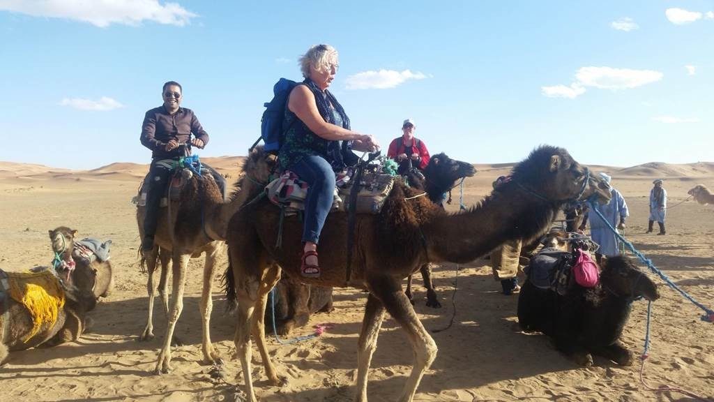 Ballade en Dromadaire à Agadir - Tourisme Agadir Souss-Massa