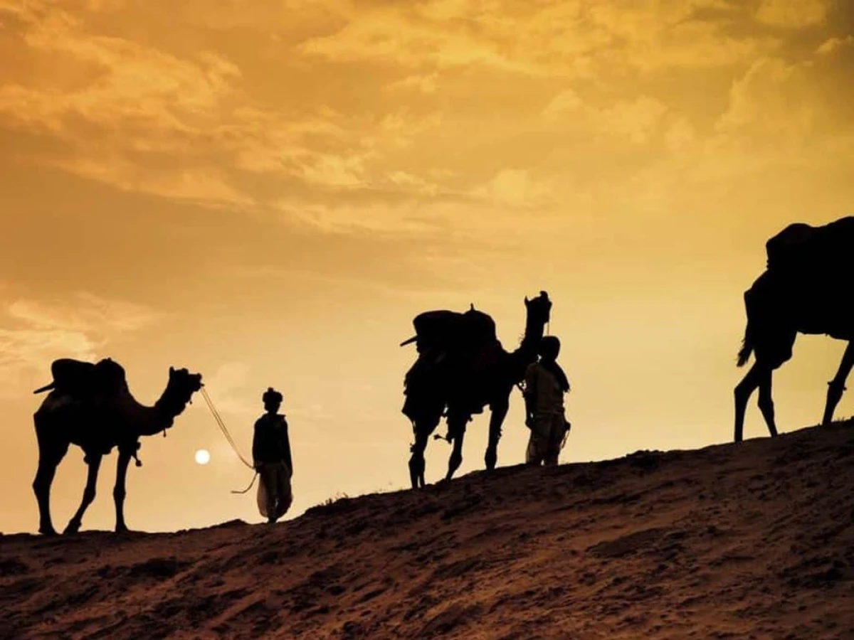 Camel Barbecue - Coucher de soleil + Diner - Tourisme Agadir Souss-Massa