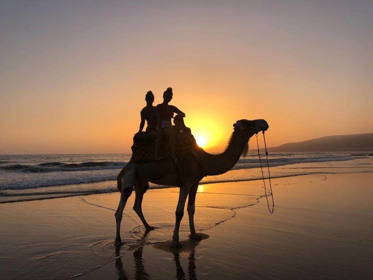 Camel Barbecue - Coucher de soleil + Diner - Tourisme Agadir Souss-Massa