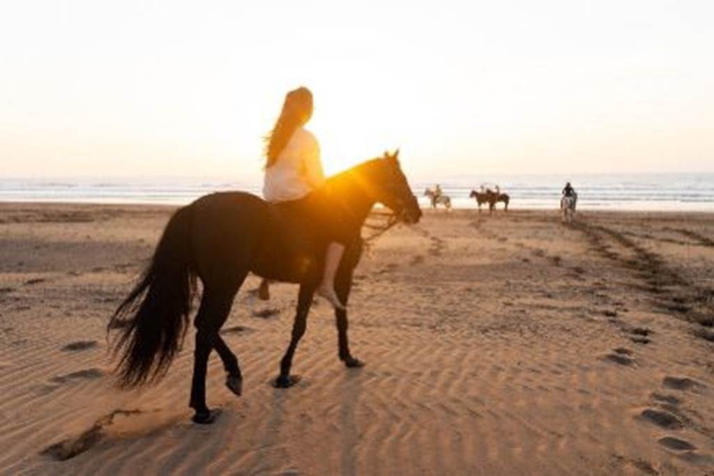 CHEVAL AGADIR - Tourisme Agadir Souss-Massa