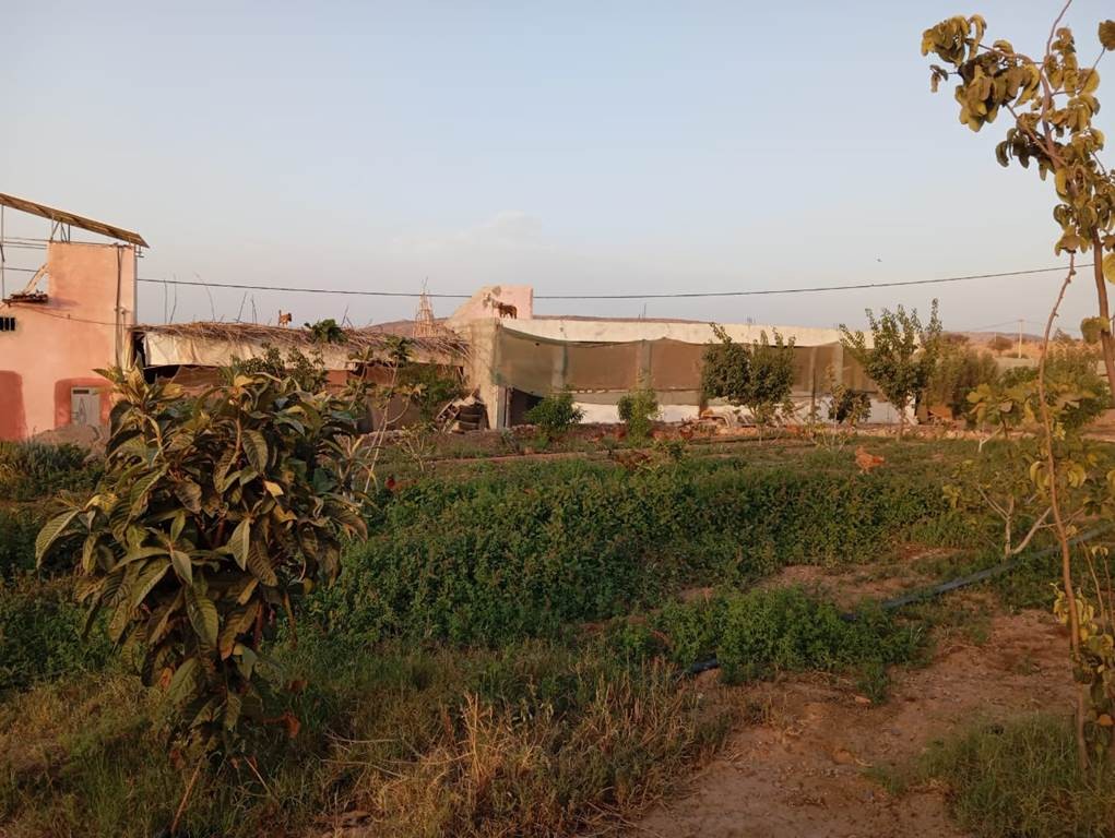 Circuit de l’eau et des oasis - Tourisme Agadir Souss-Massa