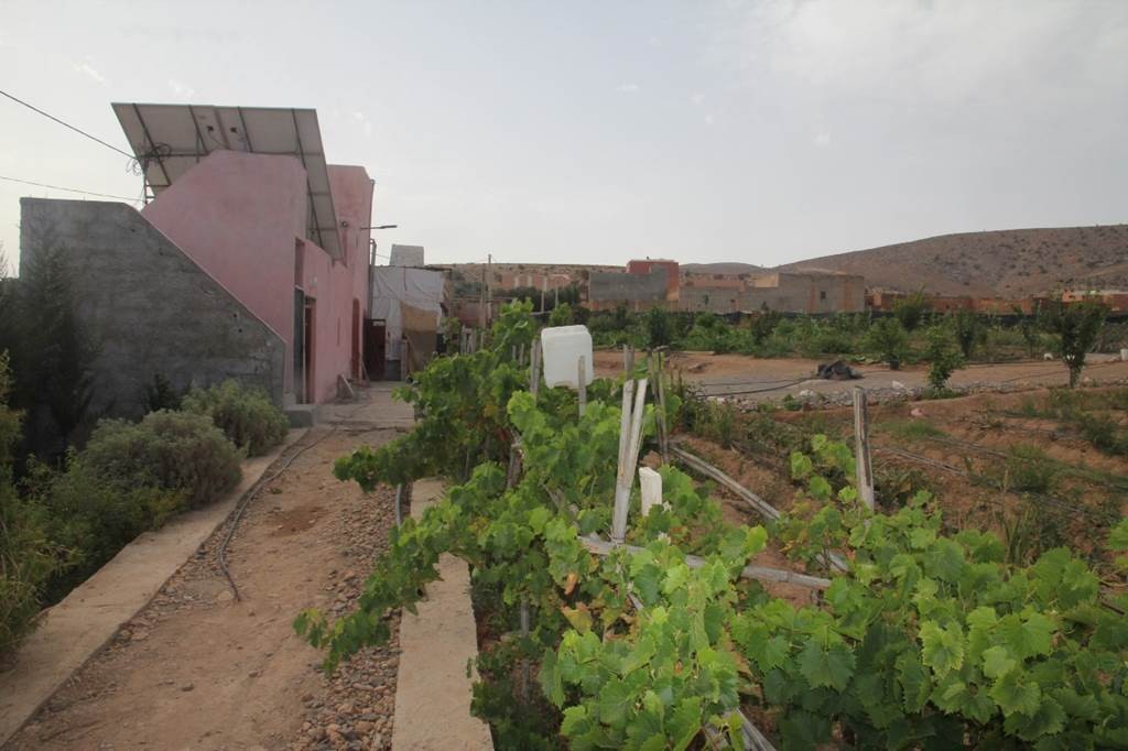 Circuit des kasbahs et greniers collectifs (Igoudar) - Tourisme Agadir Souss-Massa