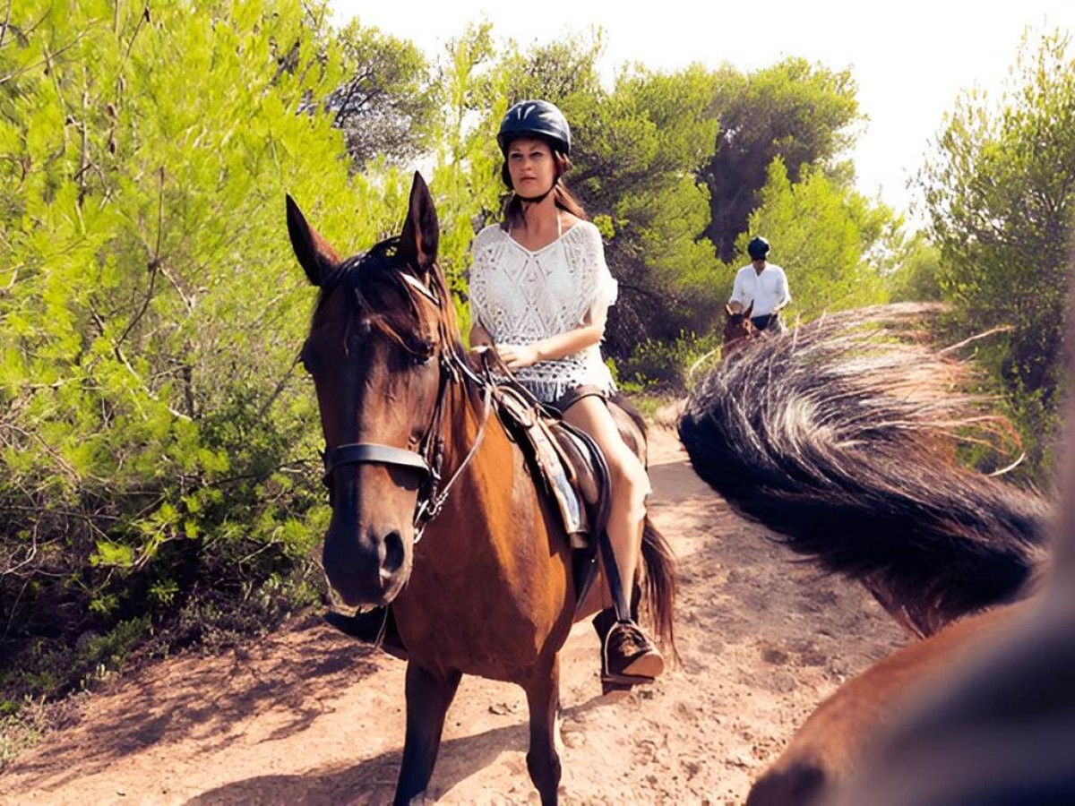 COUCHER DE SOLEIL A CHEVAL : EVASION MAGIQUE  SUR LA PLAGE D'AGADIR - Tourisme Agadir Souss-Massa