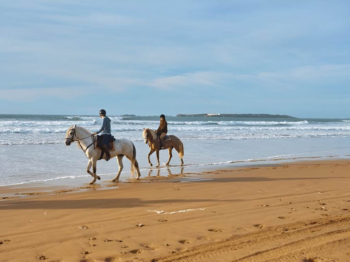 COUCHER DE SOLEIL A CHEVAL : EVASION MAGIQUE  SUR LA PLAGE D'AGADIR - Tourisme Agadir Souss-Massa
