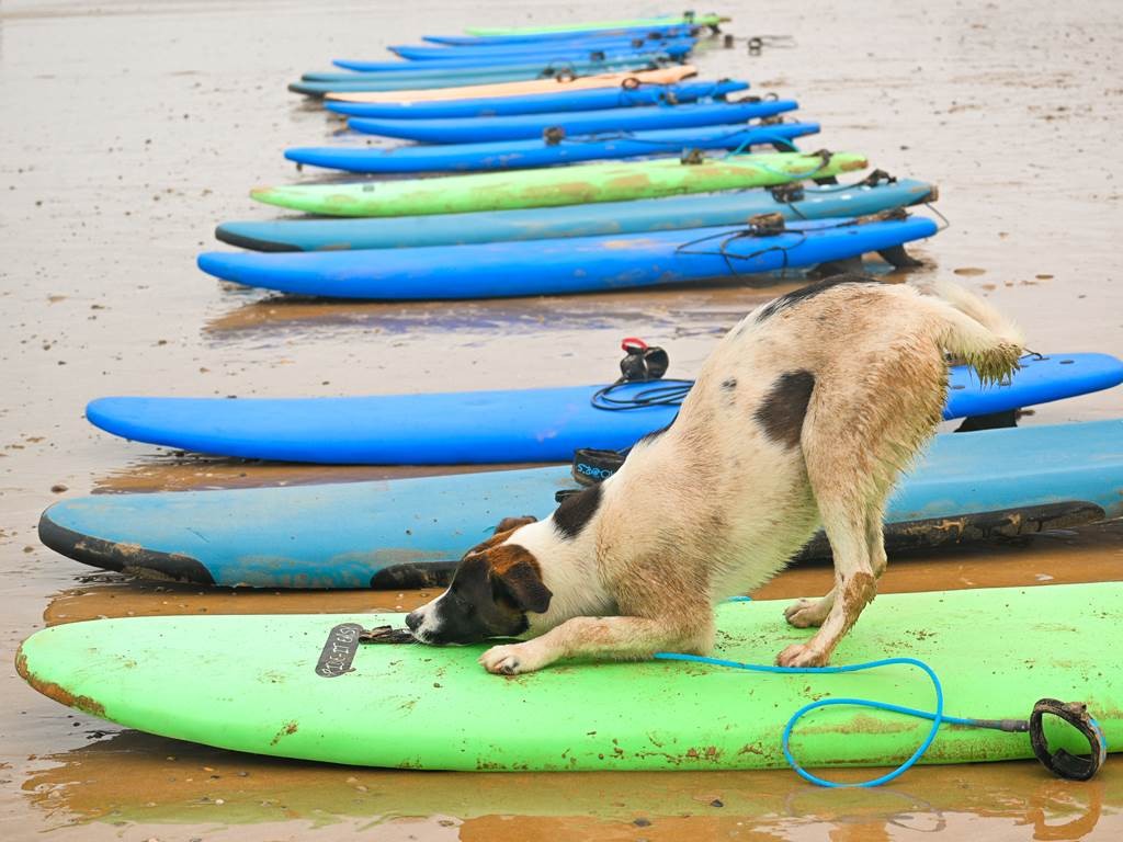 Cours de surf - Tourisme Agadir Souss-Massa