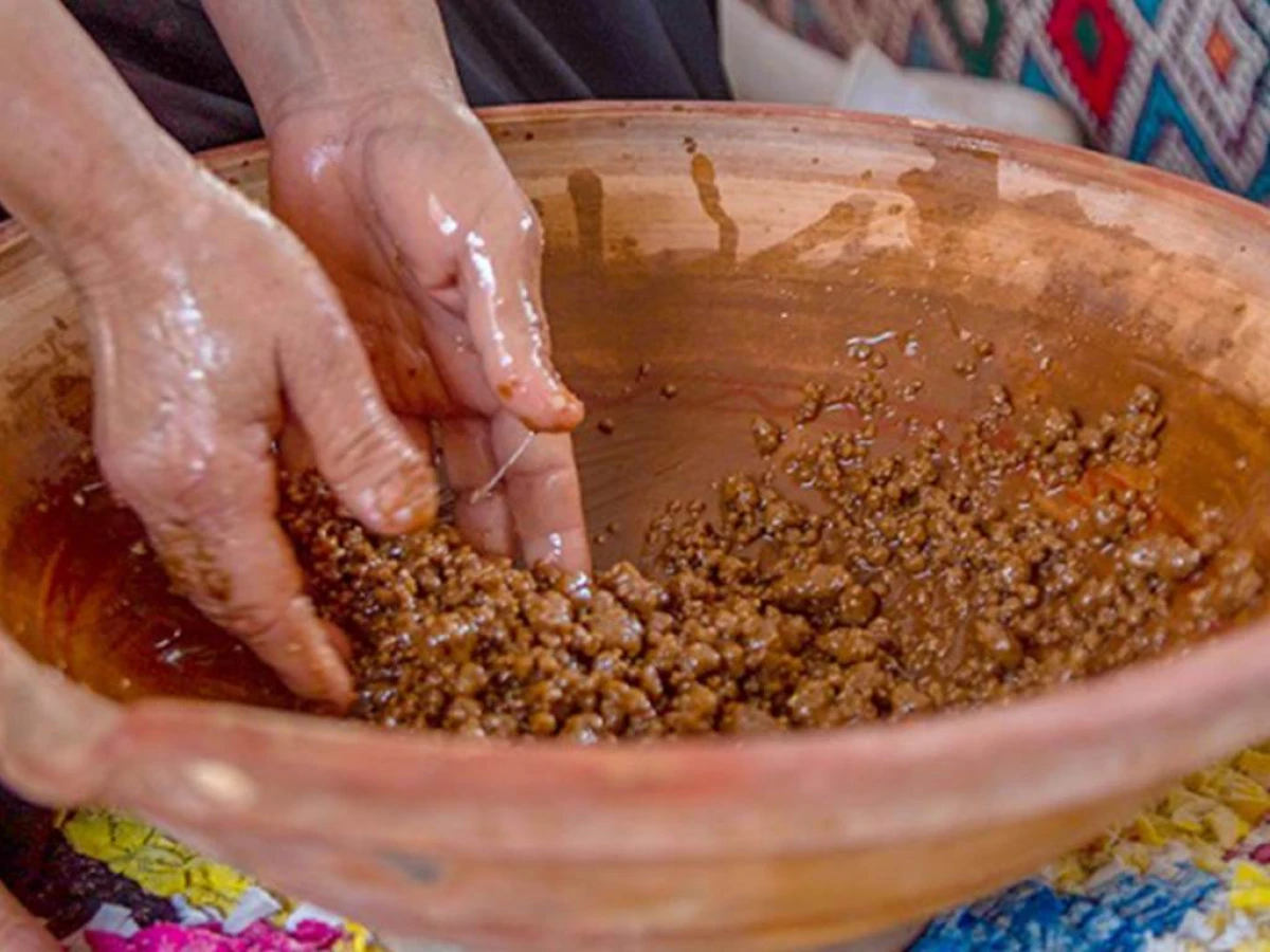 Créer votre propre huile d'Argan ! - Tourisme Agadir Souss-Massa