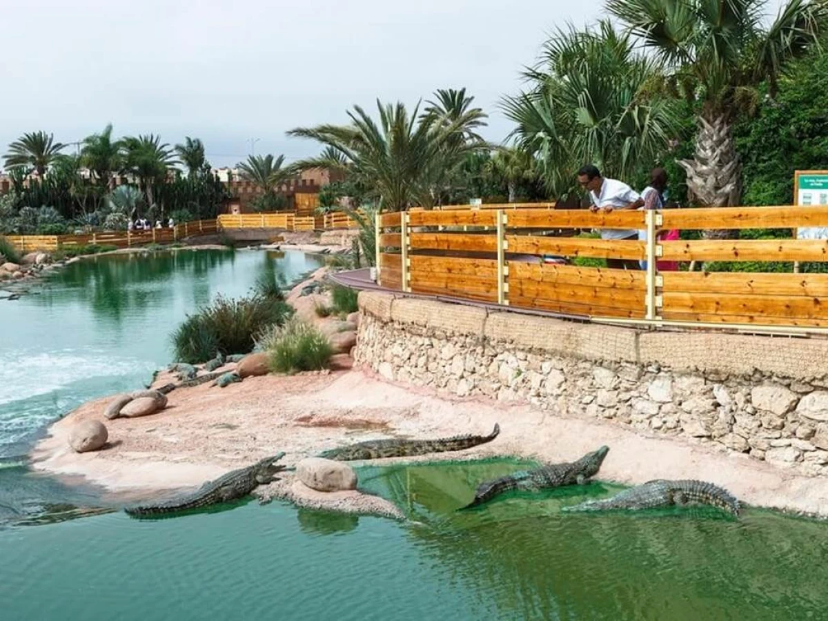 Crocoparc et jardin botanique - Tourisme Agadir Souss-Massa