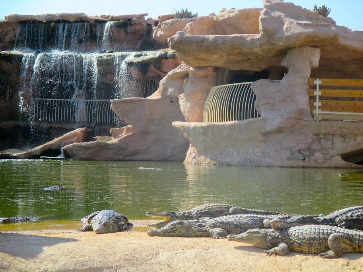 Crocoparc et jardin botanique - Tourisme Agadir Souss-Massa