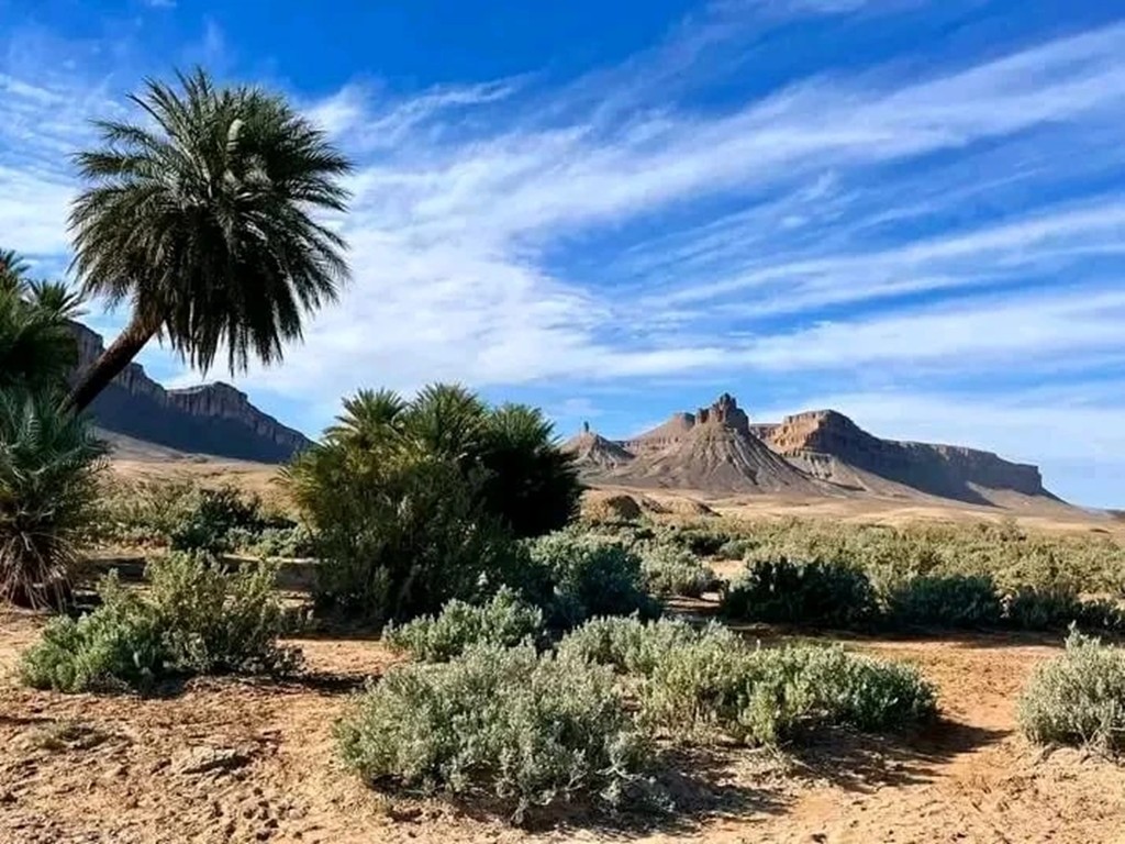 De Foum Zguid , 1 nuit à l'auberge Sahara Iriki , trekkings et 2 nuits aux bivouacs à l'Erg El Mahzil et l'Erg El Ghoul : 4 jours - 3 nuits - Tourisme Agadir Souss-Massa