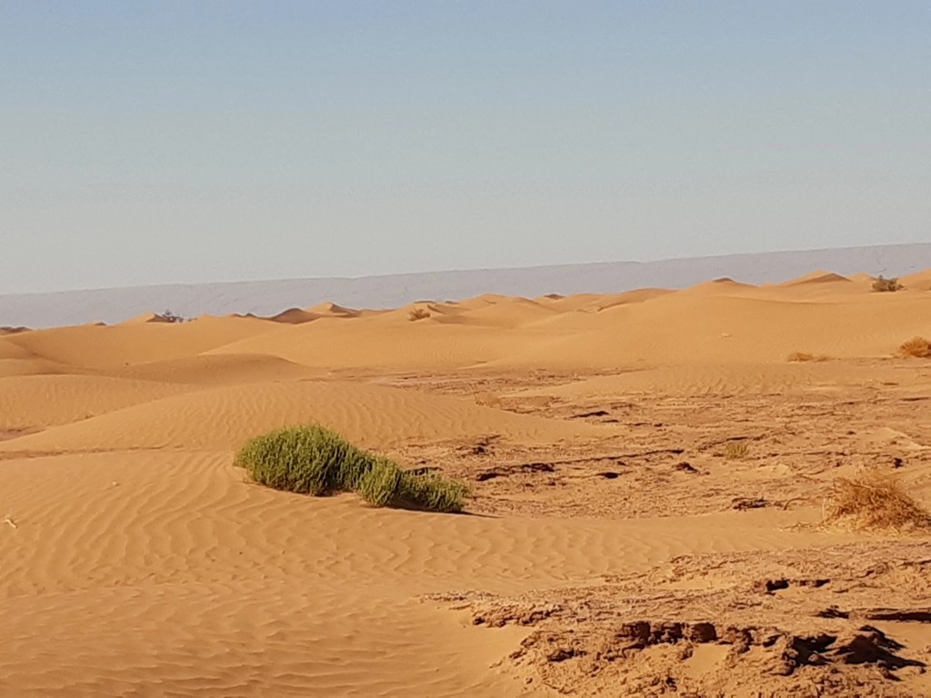 De Foum zguid au désert de Chegaga 2 jours- 1 nuit - Tourisme Agadir Souss-Massa