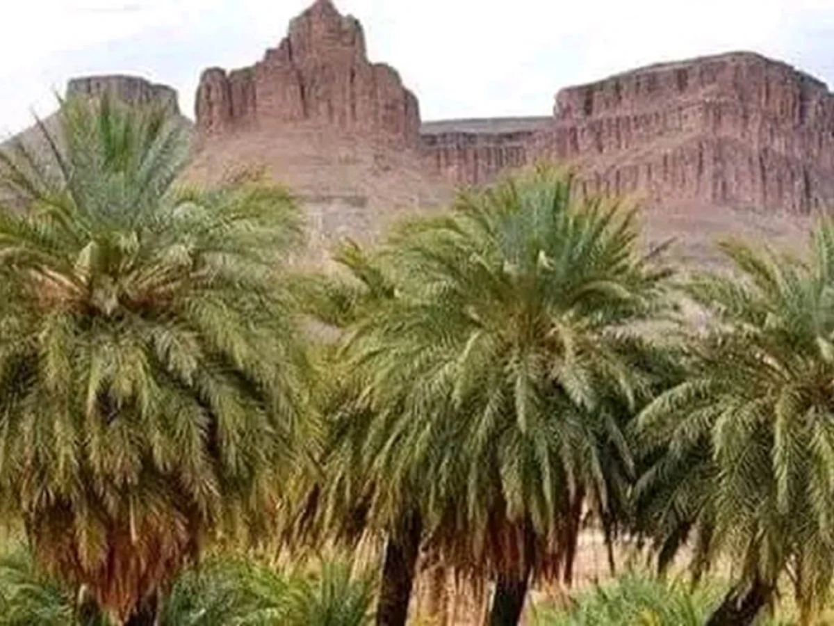 De Foum Zguid au désert de l'Erg El Mahzil en bivouac 2jours /1 nuit - Tourisme Agadir Souss-Massa