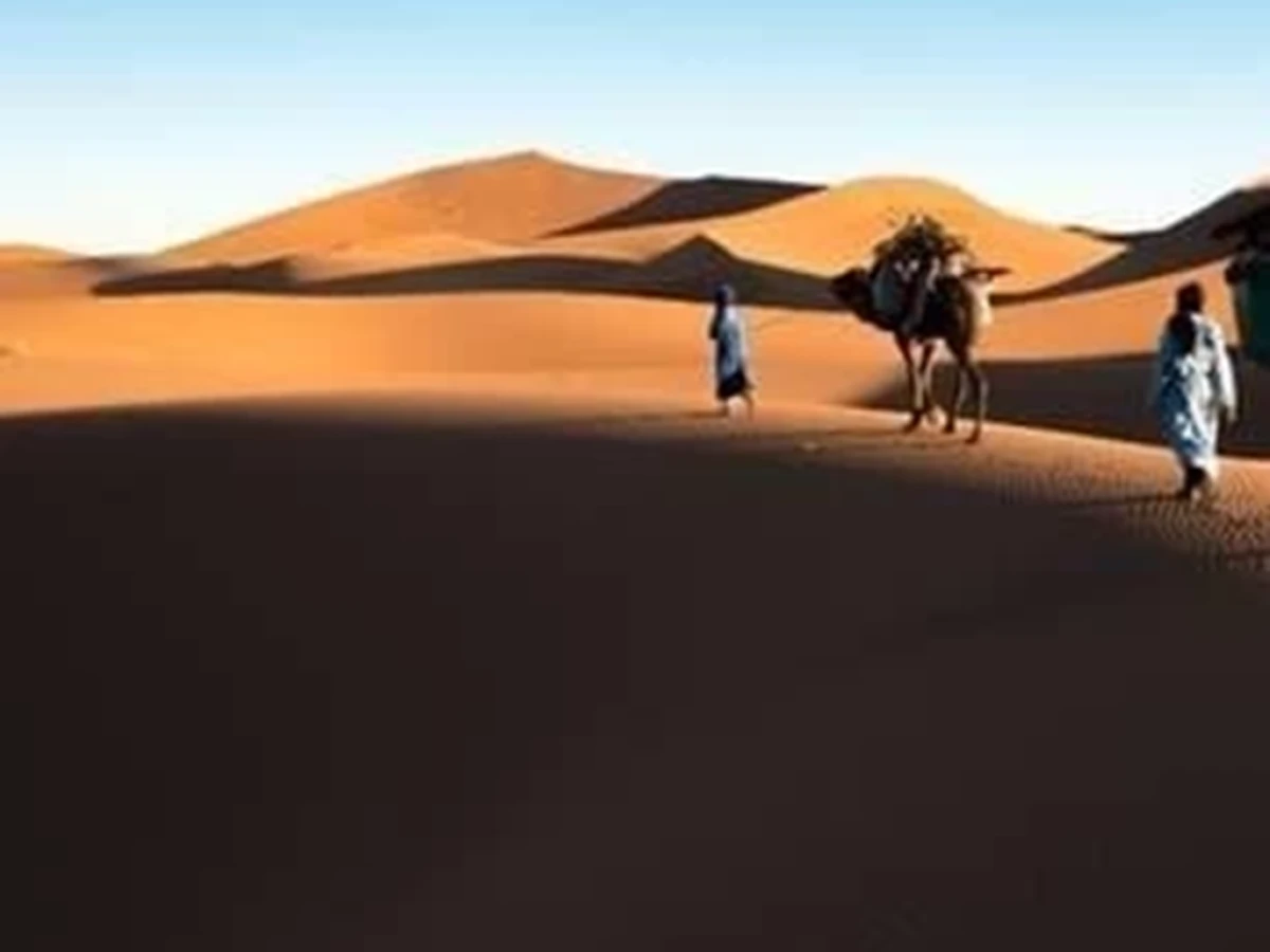 De Foum Zguid au désert de l'Erg El Mahzil en bivouac 2jours /1 nuit - Tourisme Agadir Souss-Massa