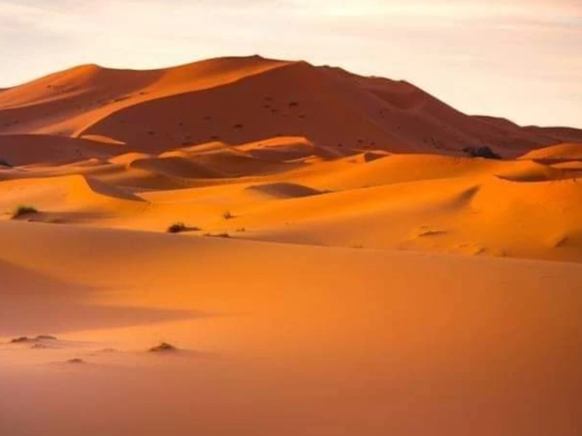 De Foum Zguid , nuit à l'auberge Sahara Iriki, trek Erg El Mahzil, bivouac école nomade, trek et bivouac à l'Erg El Ghoul retour Foum Zguid avec visite du douar Sidi Abdenabi: 5jours - 4nuits - Tourisme Agadir Souss-Massa