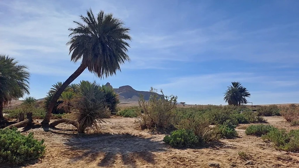 De Foum Zguid , nuit à l'auberge Sahara Iriki, trek Erg El Mahzil, bivouac école nomade, trek et bivouac à l'Erg El Ghoul retour Foum Zguid avec visite du douar Sidi Abdenabi: 5jours - 4nuits - Tourisme Agadir Souss-Massa