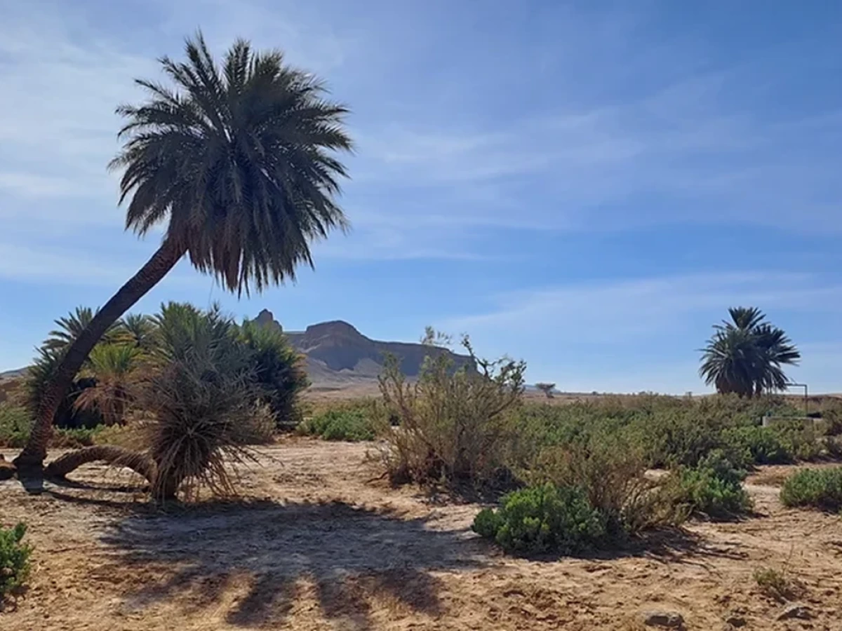 De Foum Zguid , nuit à l'auberge Sahara Iriki, trek Erg El Mahzil, bivouac école nomade, trek et bivouac à l'Erg El Ghoul retour Foum Zguid avec visite du douar Sidi Abdenabi: 5jours - 4nuits - Tourisme Agadir Souss-Massa