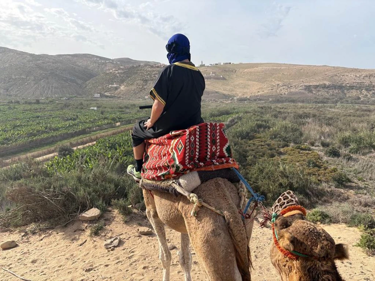Dromadaire & Thé Marocain – Tamri - Tourisme Agadir Souss-Massa
