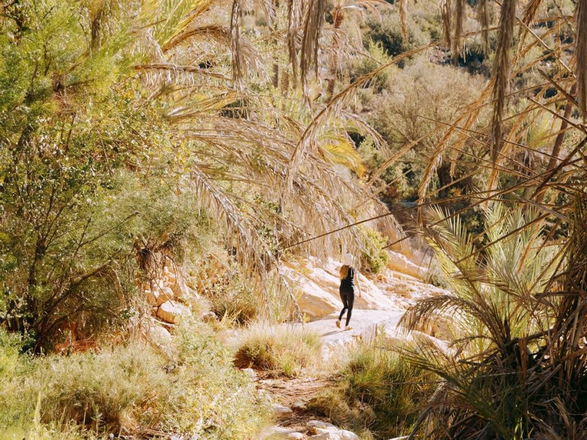 Escapade 2 Jours de Randonnée: Explorez la Vallée du Paradis ! - Tourisme Agadir Souss-Massa