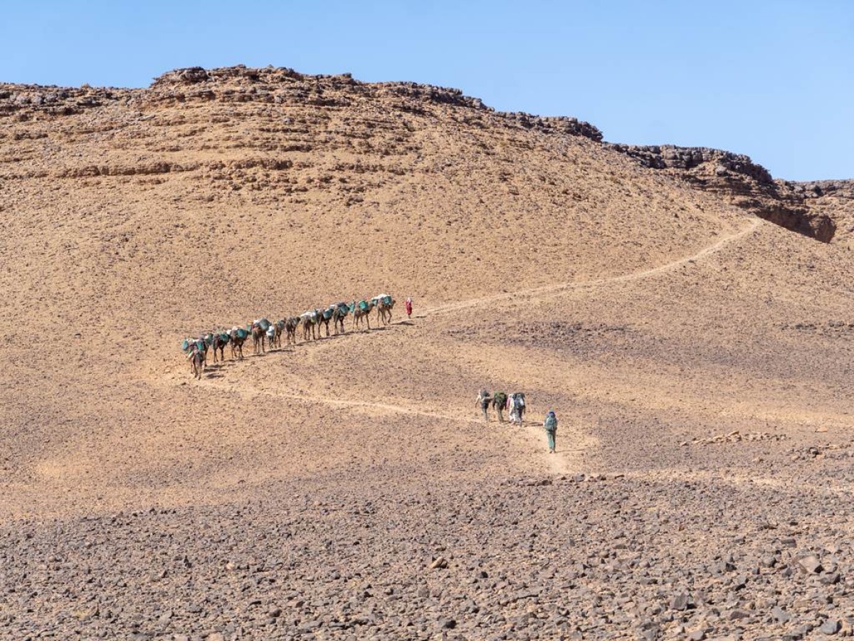 Excursion Lac Iriki & Gravures Rupestres du Djebel Bani – 4 jours depuis Foum Zguid - Tourisme Agadir Souss-Massa
