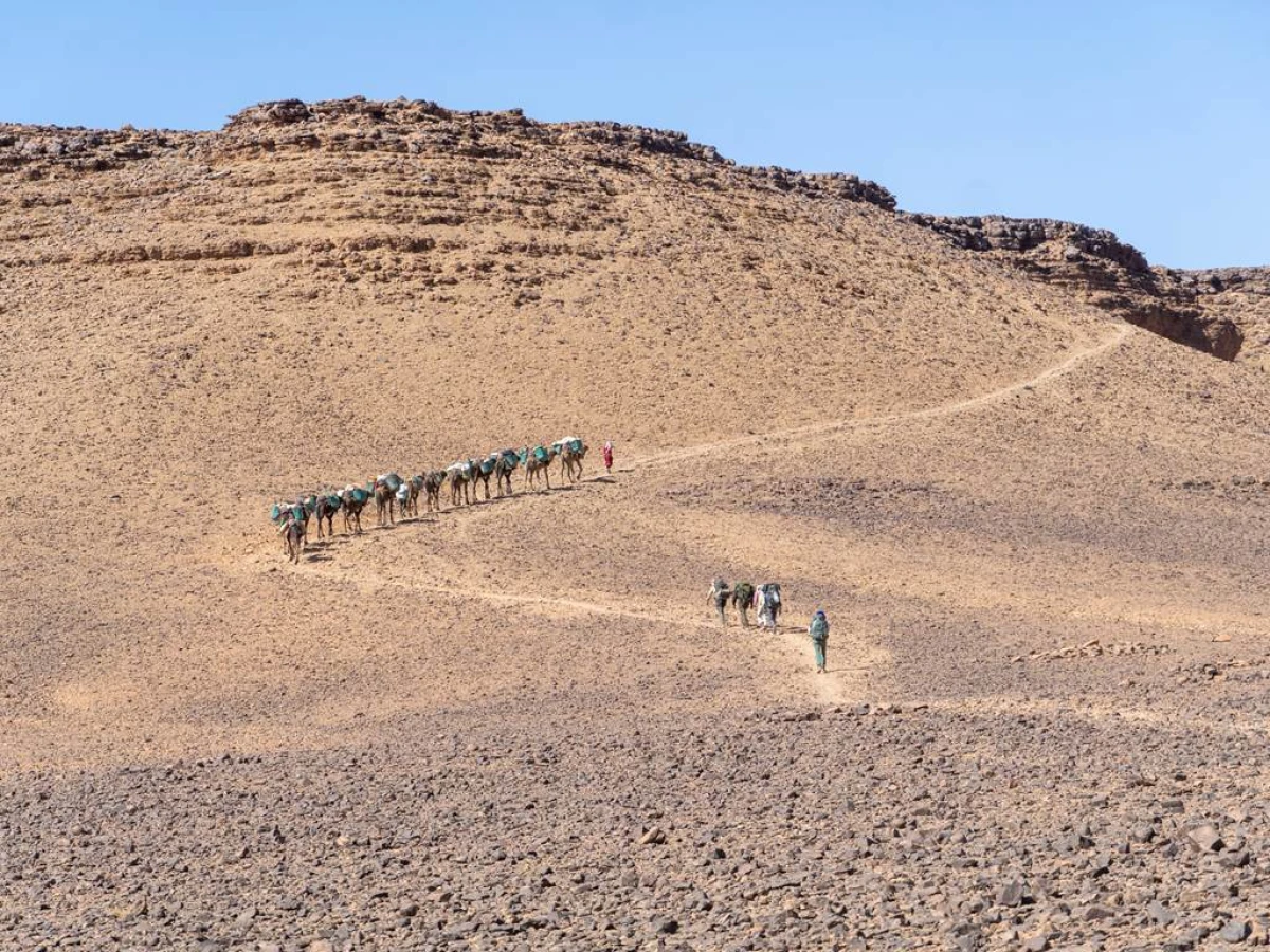 Excursion Lac Iriki & Gravures Rupestres du Djebel Bani – 4 jours depuis Foum Zguid - Tourisme Agadir Souss-Massa