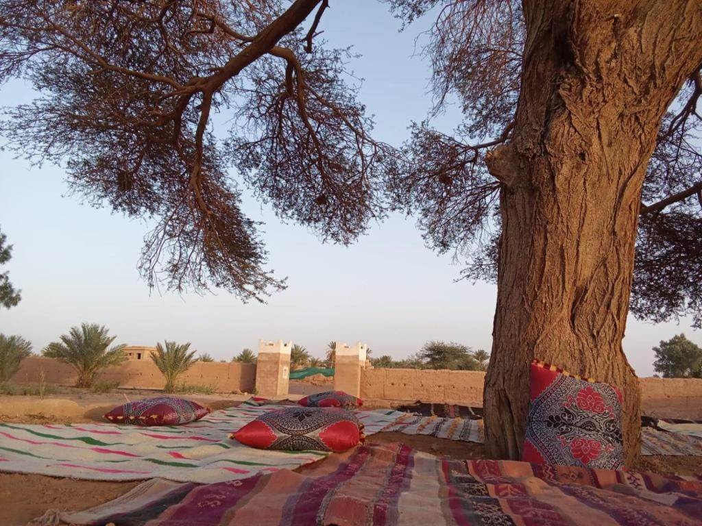 EXCURSIONS DESERT IRIKI - Tourisme Agadir Souss-Massa