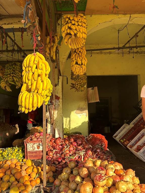 Excursions Les dunes de Tamri - Tourisme Agadir Souss-Massa