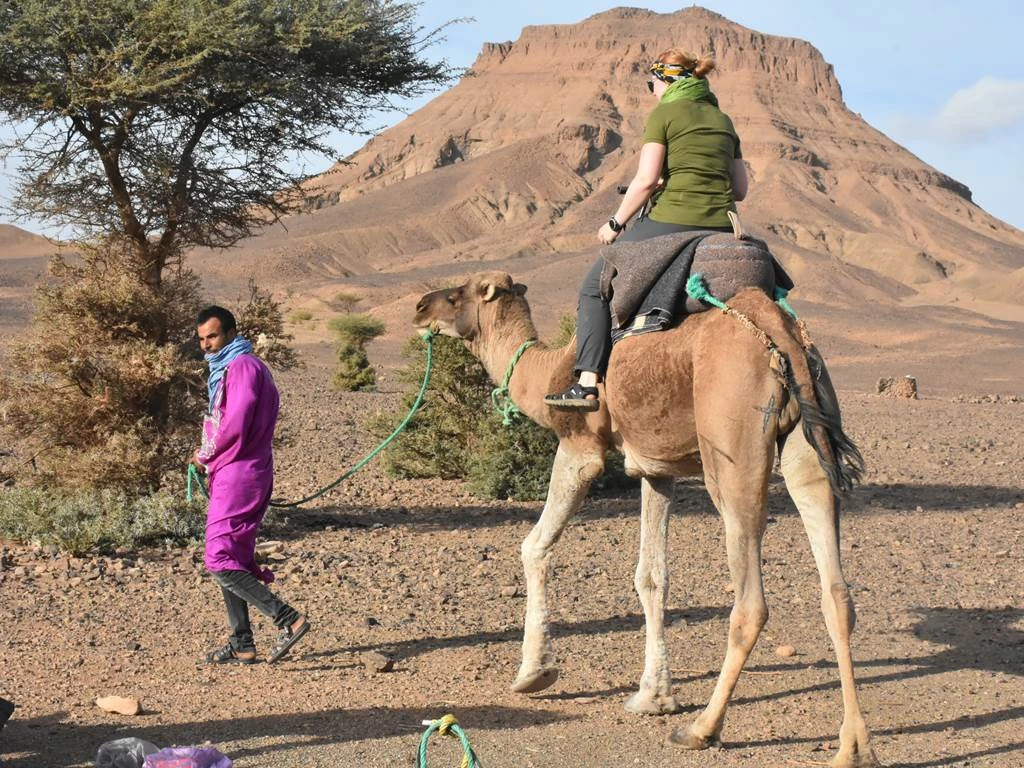 Expédition Désert : Trek à dos de dromadaire vers Erg Chegaga & Lac Iriki – 8 jours - Tourisme Agadir Souss-Massa
