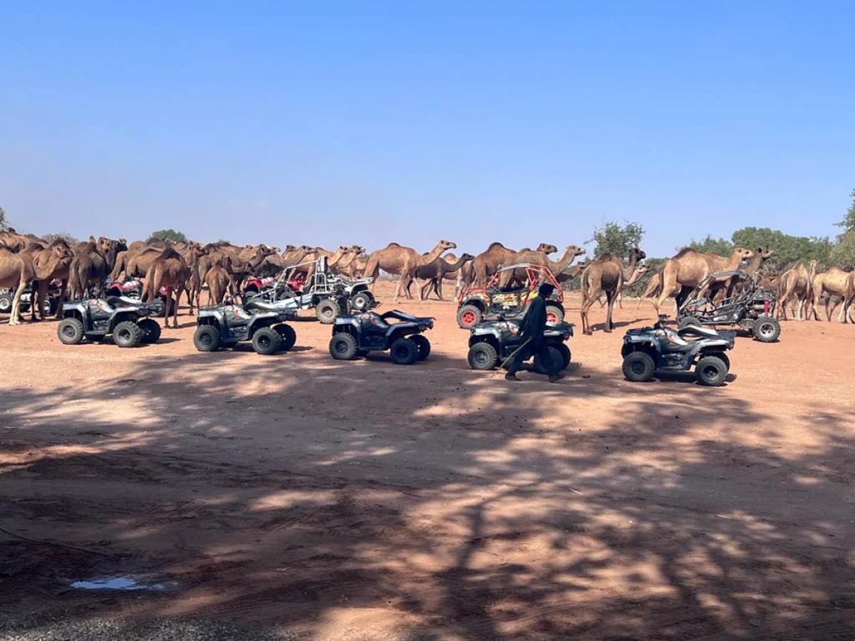 Explorez Agadir en Quad pendant 2 heures! - Tourisme Agadir Souss-Massa