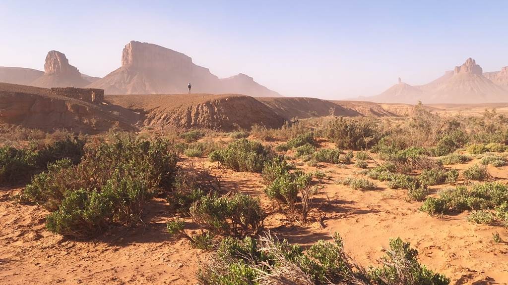 Foum zguid x Zawiya-gravures  et les dunes - 3 jours / 2 nuits - Tourisme Agadir Souss-Massa