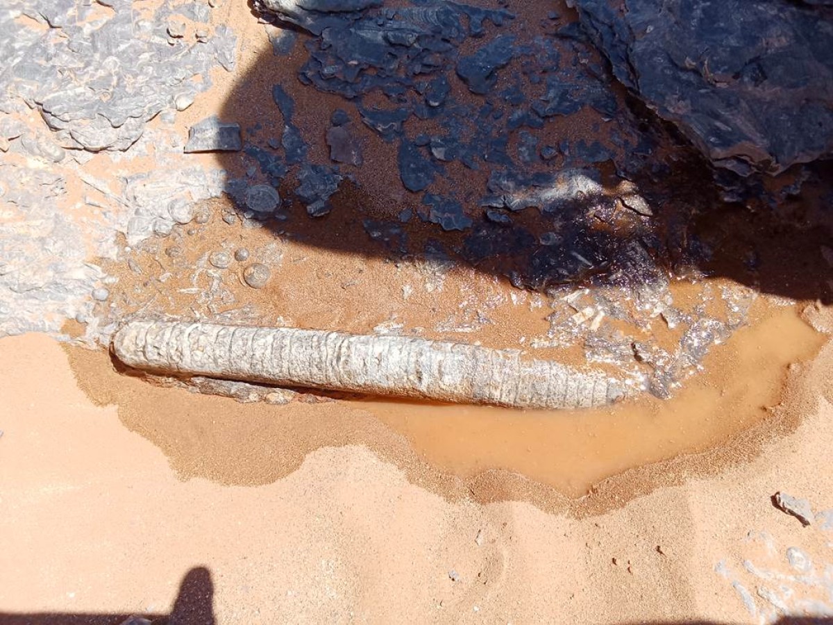 Foum zguid x Zawiya-gravures  et les dunes - 3 jours / 2 nuits - Tourisme Agadir Souss-Massa