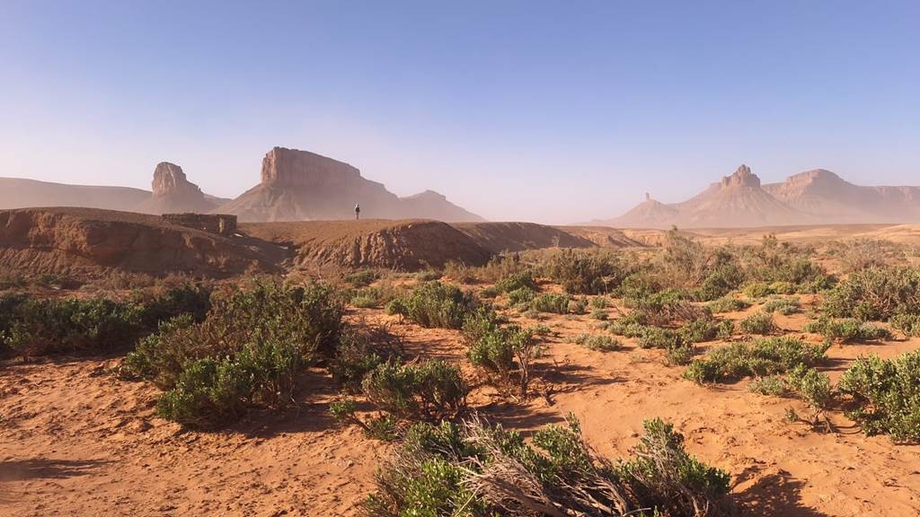 Foum zguid x Zawiya-gravures  et les dunes - 3 jours / 2 nuits - Tourisme Agadir Souss-Massa