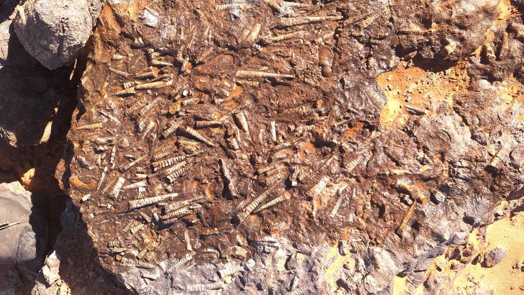 Foum zguid x Zawiya-gravures  et les dunes - 3 jours / 2 nuits - Tourisme Agadir Souss-Massa