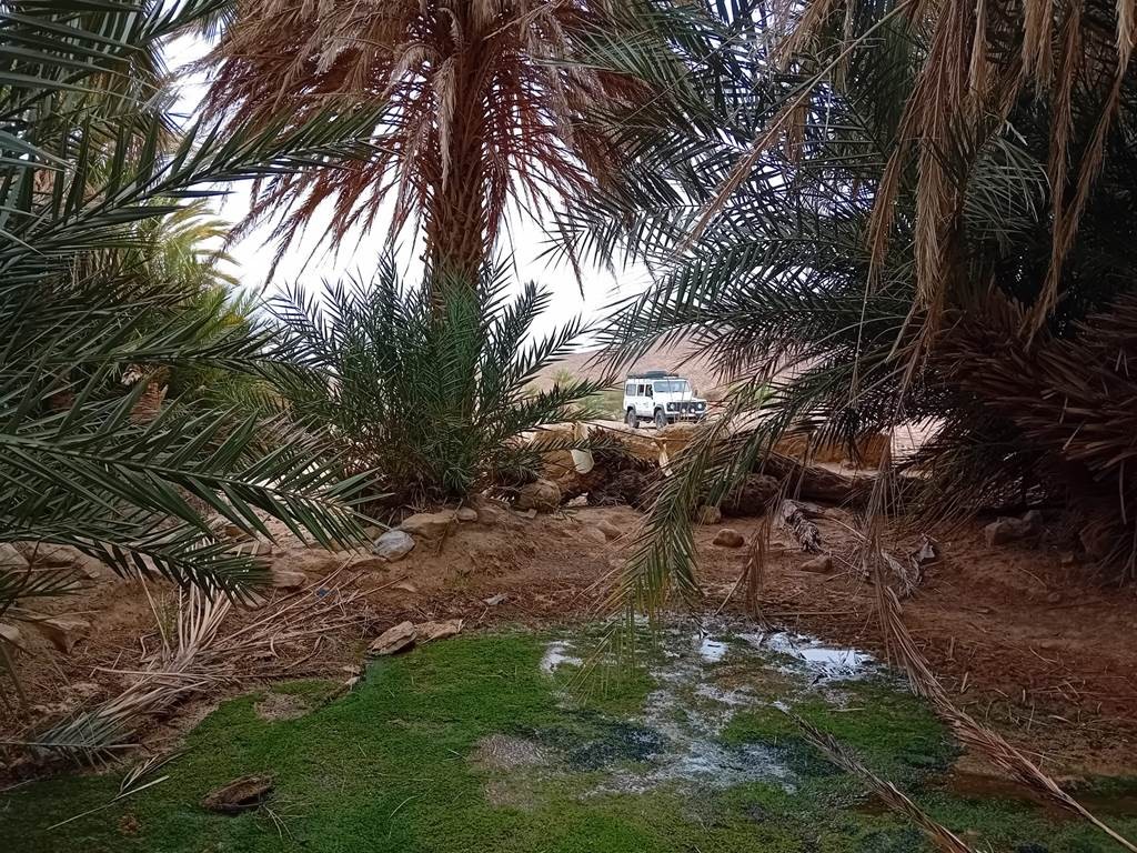 Journée à Kasbah de Chebbi et les dunes - Tourisme Agadir Souss-Massa