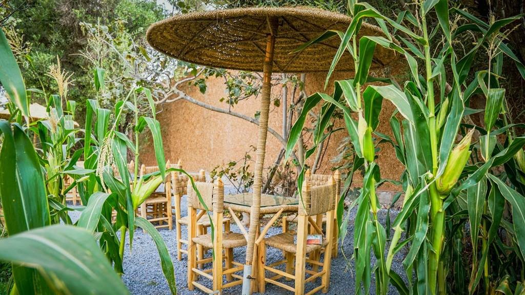 La Ferme Turtite - Tourisme Agadir Souss-Massa