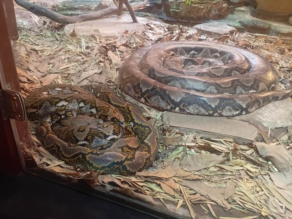 Le Parc de Crocodile d'Agadir - Tourisme Agadir Souss-Massa